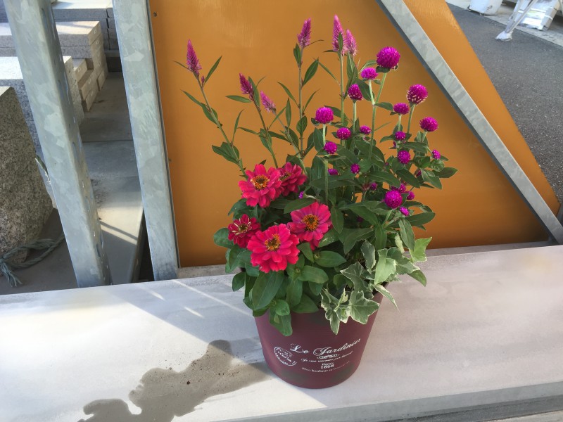 暑い季節の簡単寄せ植え 寄せ植え工房 花の記念日